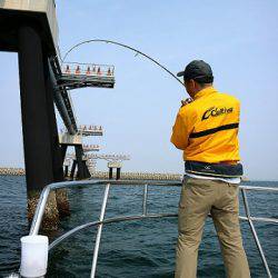 フルコンタクト 釣果
