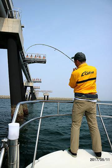 フルコンタクト 釣果