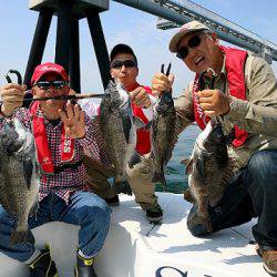 フルコンタクト 釣果