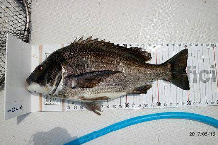 フルコンタクト 釣果