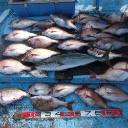 海宝丸 釣果