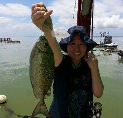 本部釣りイカダ 釣果