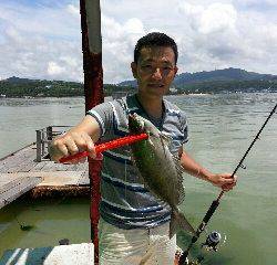 本部釣りイカダ 釣果