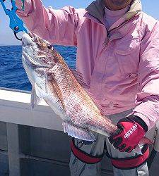 海龍丸(福岡) 釣果