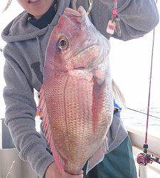 海龍丸(福岡) 釣果