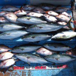 海宝丸 釣果