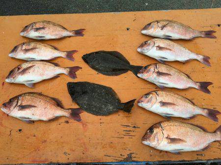 フィッシングパーク錦 釣果