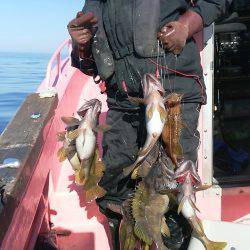 第八平成丸 釣果