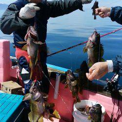 第八平成丸 釣果