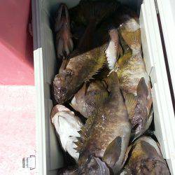 第八平成丸 釣果