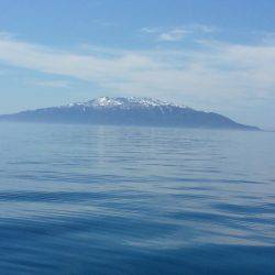 第八平成丸 釣果