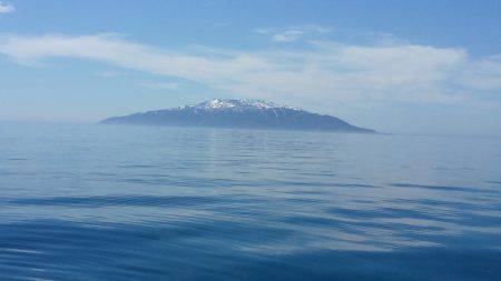 第八平成丸 釣果