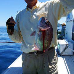 第三むつりょう丸 釣果