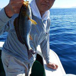 第三むつりょう丸 釣果