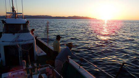 第三むつりょう丸 釣果