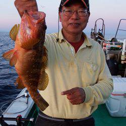 第三むつりょう丸 釣果