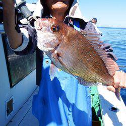 第三むつりょう丸 釣果