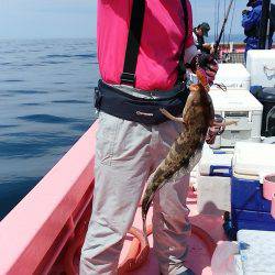 第八平成丸 釣果