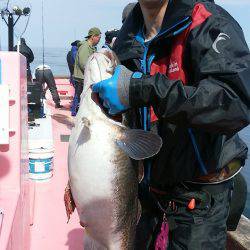 第八平成丸 釣果