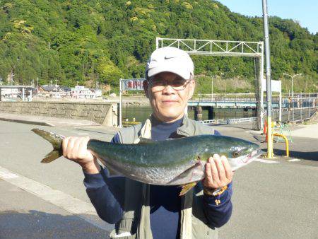 海釣り公園みかた 釣果