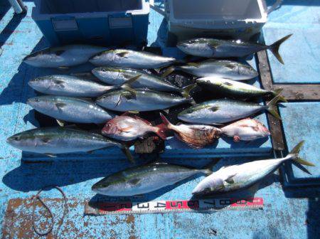海宝丸 釣果