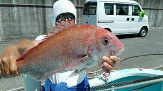 長栄丸(静岡) 釣果