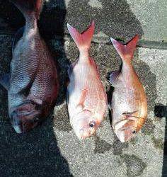 長栄丸(静岡) 釣果