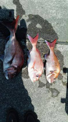 長栄丸(静岡) 釣果