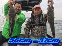 オーシャンマスター 釣果