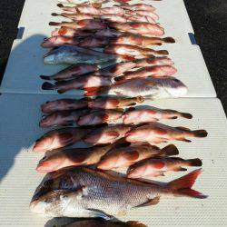 オーフリー 釣果