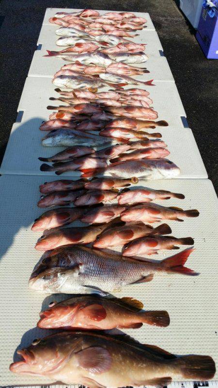 オーフリー 釣果