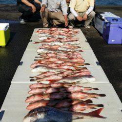 オーフリー 釣果