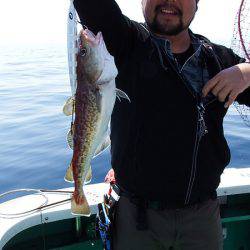 第三むつりょう丸 釣果