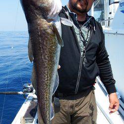 第三むつりょう丸 釣果