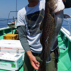 第三むつりょう丸 釣果