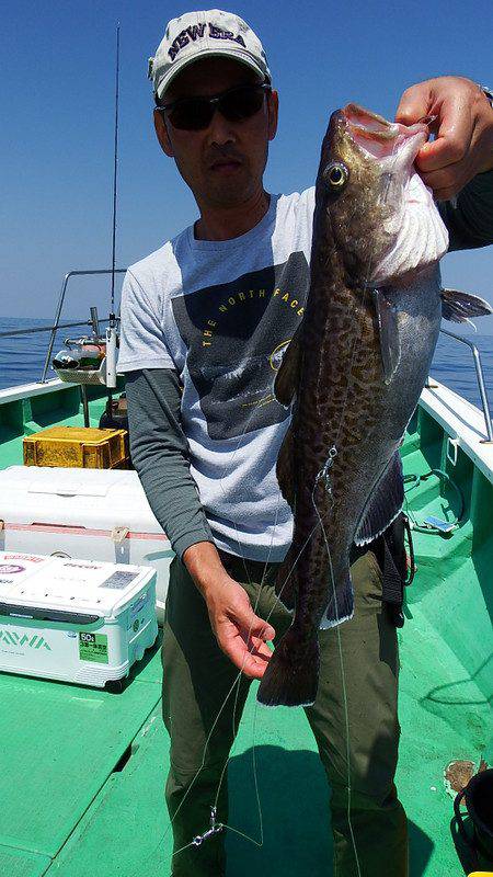 第三むつりょう丸 釣果