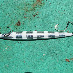 第三むつりょう丸 釣果