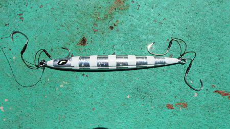 第三むつりょう丸 釣果