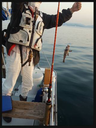 内浜丸 釣果