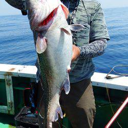 第三むつりょう丸 釣果