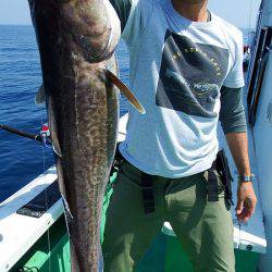 第三むつりょう丸 釣果