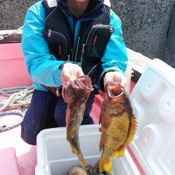 第八平成丸 釣果