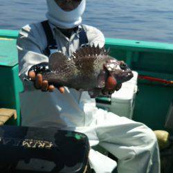 モンロー号 釣果