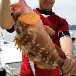 オーフリー 釣果