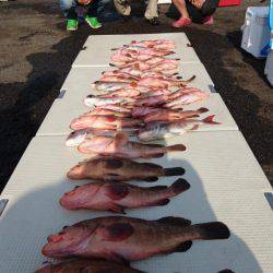 オーフリー 釣果