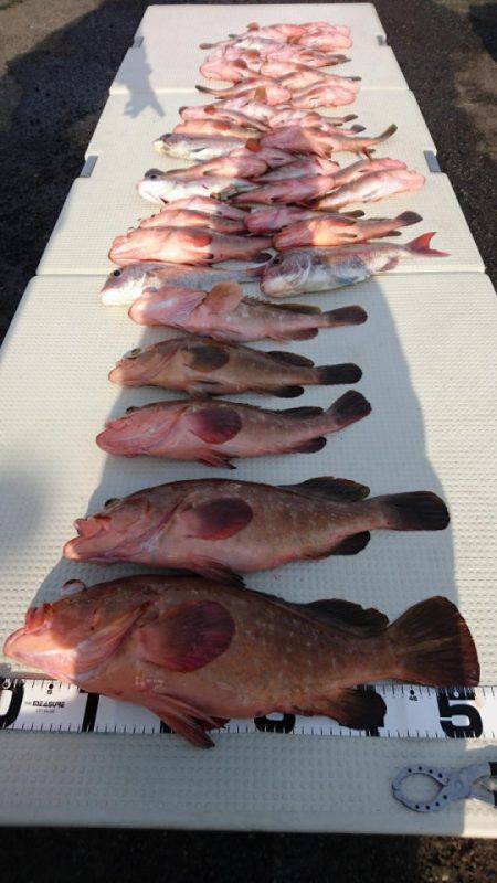 オーフリー 釣果