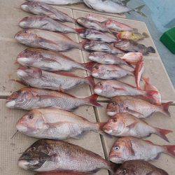 旭星釣りセンター 釣果