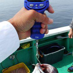 第三むつりょう丸 釣果