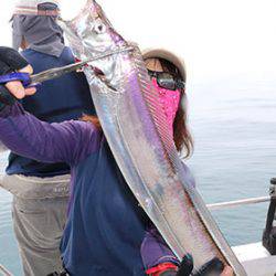 松本釣船2 釣果