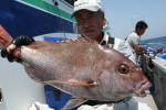 茂吉丸 釣果